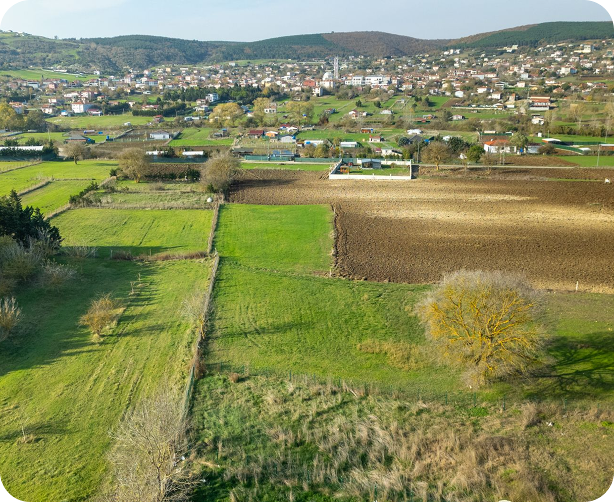 Aerial view of Terravista Park farmland and village